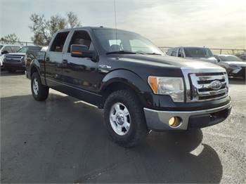 2009 Ford F-150 XLT